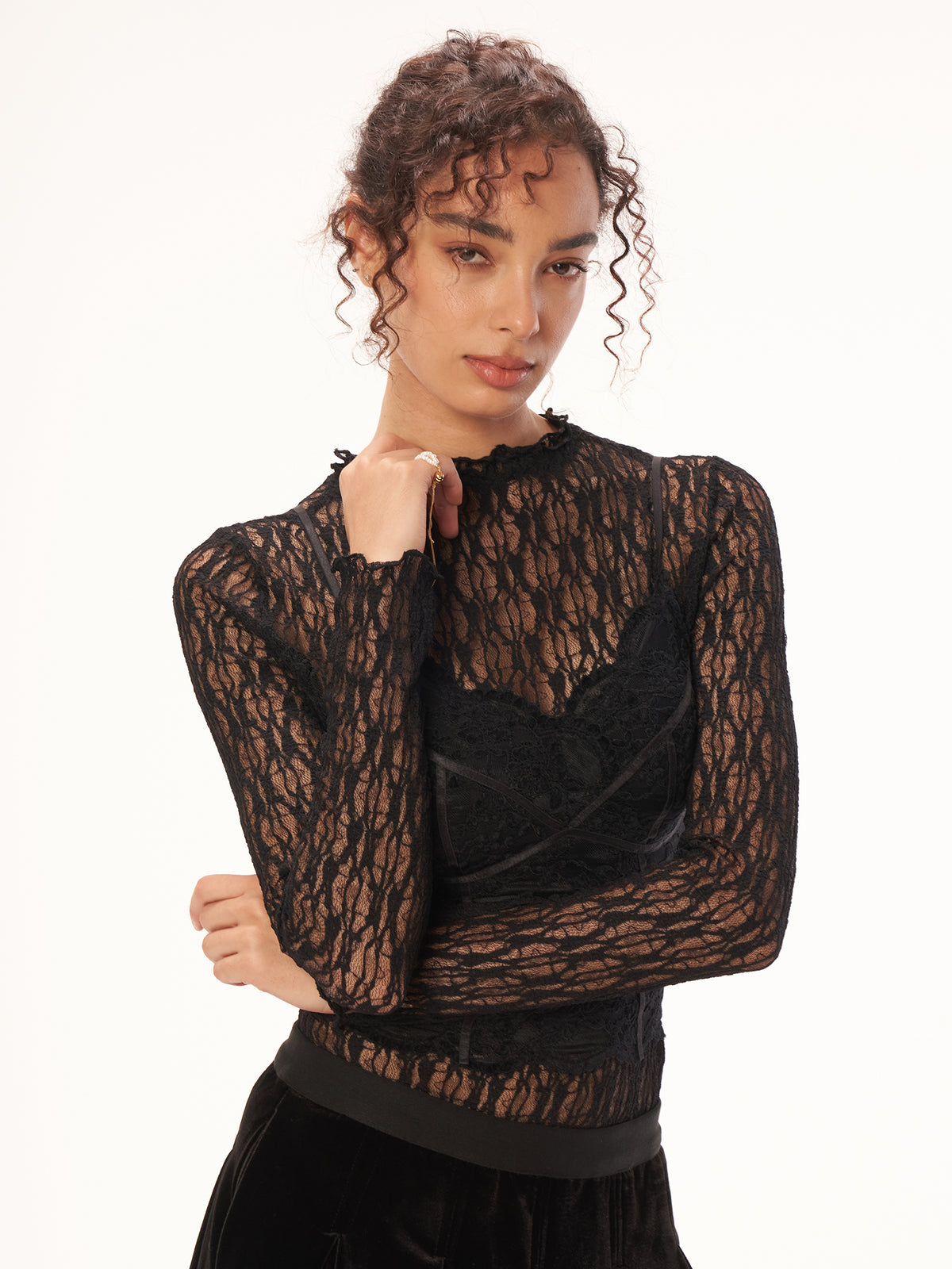Vintage Rose Lace Sheer Long Sleeve Top - Black
