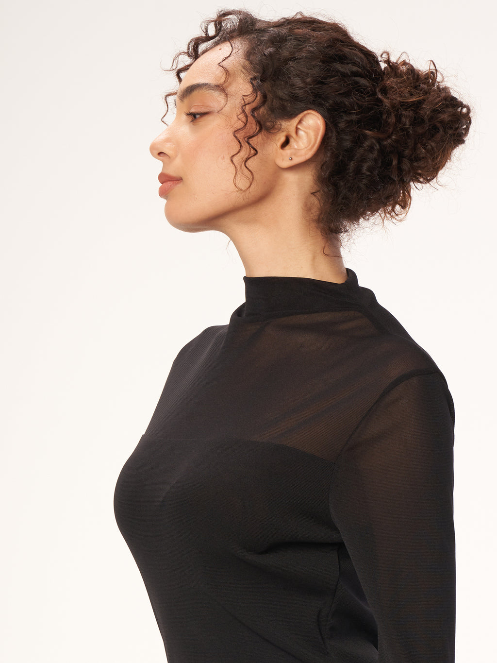 Chic High Neck Sheer Mesh Long Sleeve Top - Black