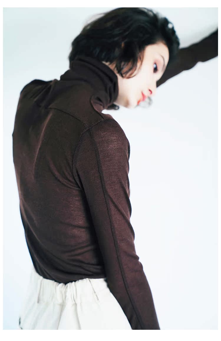Solid color   high neck base  t-shirt    slim fit top for women  long sleeves